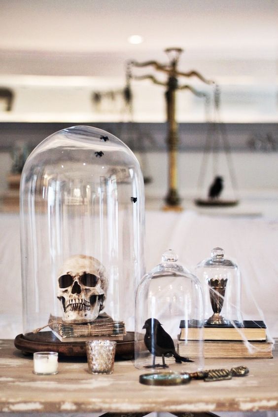 cloches with a skull, a blackbird and a goblet plus some spiderweb are great for Halloween decor