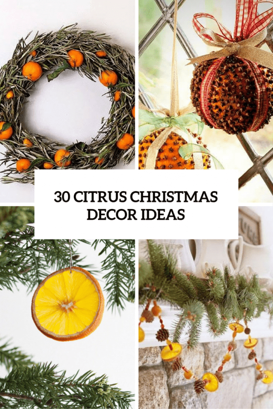 Citrus Christmas Decor Ideas Cover