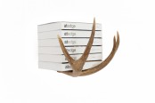 Antler Book Holder