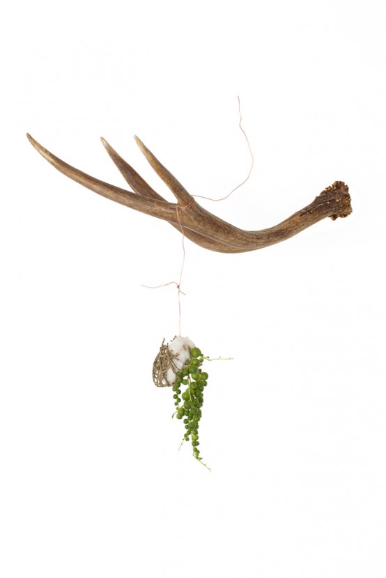 Antler Holders and Hooks To Decorate Your Home DigsDigs