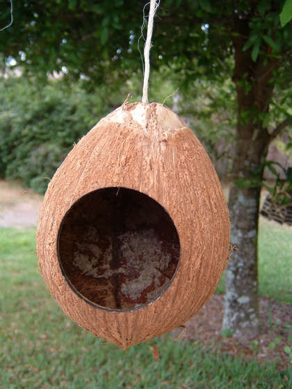 Coconut Birdhouse