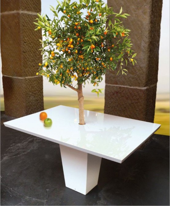 Cool Dining Tables with Integrated Small Trees by Mezza Style