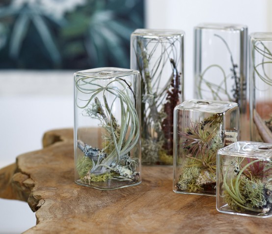 Cube Aeriums