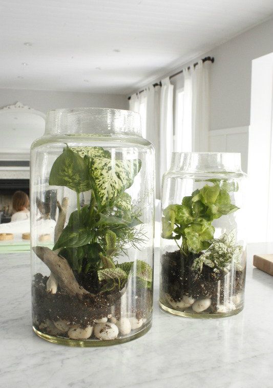 glass jars with pebbles, driftwood, greenery look very wild, pretty and spring-like