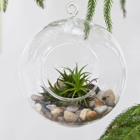 a bubble with pebbles and air plants is a simple and lovely spring decoration to rock