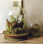 cloches with greenery, moss, ferns, driftwood and fake nests plus fake eggs and butterflies for a woodland springy feel