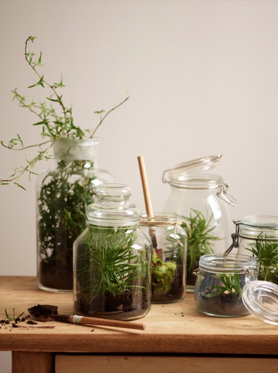 an arrangement of jars with lids with air plants, greenery and succulents is a pretty decoration for spring