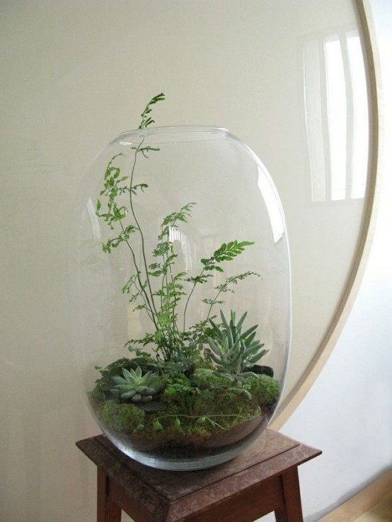an oversized oval jar with moss, greenery and succulents is a bold and fresh spring decoration for any space
