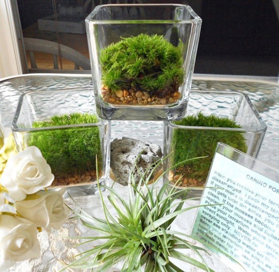 glass jars with pebbles and moss can be put around your house and give a spring-like feel to it