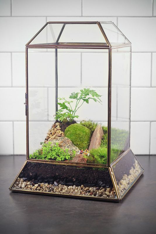 73 Adorable Spring Terrariums For Home Décor DigsDigs