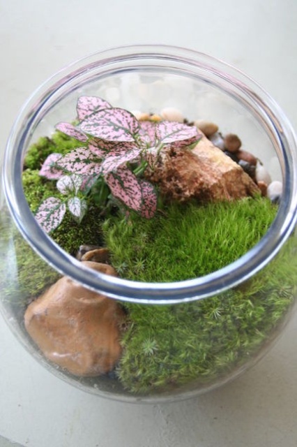 a jar with moss, pebbles, rocks and a pink plant is a pretty and cool spring terrarium with a touch of color