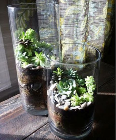 45 Adorable Spring Terrariums For Home Décor - DigsDigs