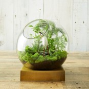 a bubble jar with moss, greenery, a white bloom on a wooden stand is a stylish idea for a spring space
