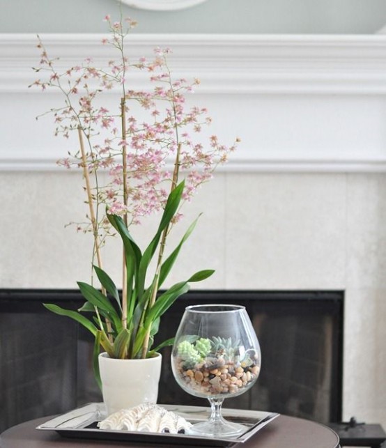 a large glass with pebbles and succulents is a stylish mini terrarium that you can make yourself