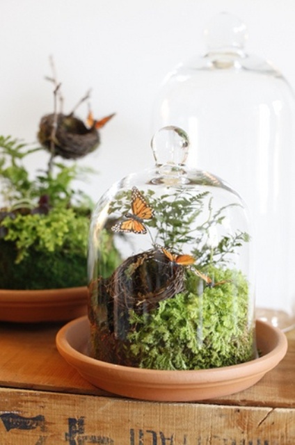 a cloche with greenery, a faux nest and butterflies is a pretty spring-inspired decoration to rock
