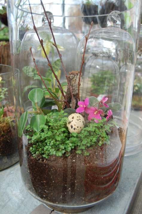 a jar with greenery, blooms, a branch and twigs plus a faux egg is a bold and cool decoration you may rock for spring