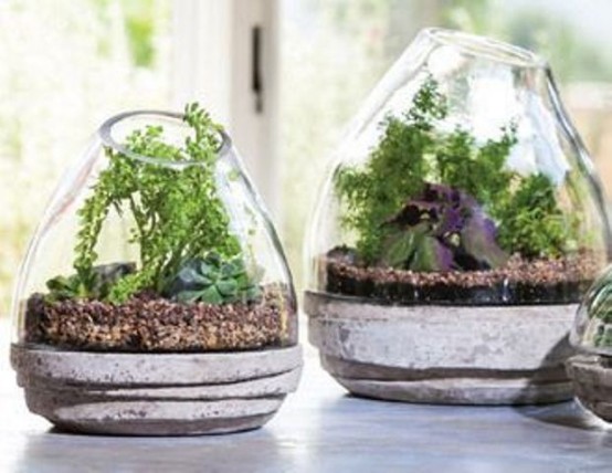 glass jars with greenery and succulents for a fresh and cool touch in the space