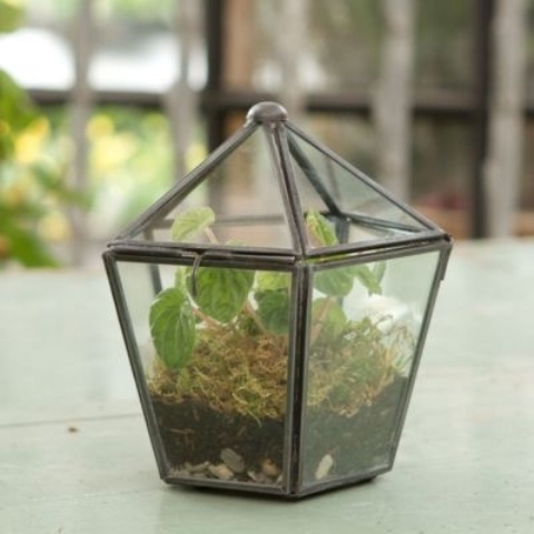 a faceted terrarium with some greenery is an elegant vintage spring decoration or centerpiece