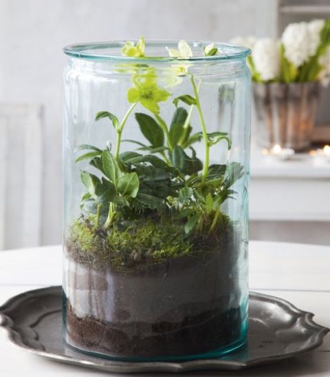 a jar with greenery and white blooms is a simple and stylish spring decor idea to rock