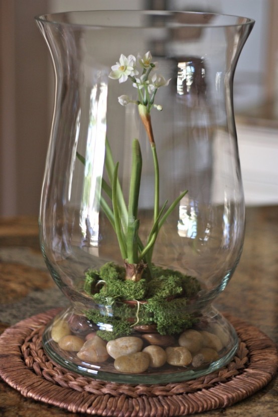 a glass jar with pebbles, moss, a white bloom is a vintage and chic decoration to rock anytime