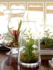 jars with moss, pebbles and greenery and a bright bloom for decorating your home for spring