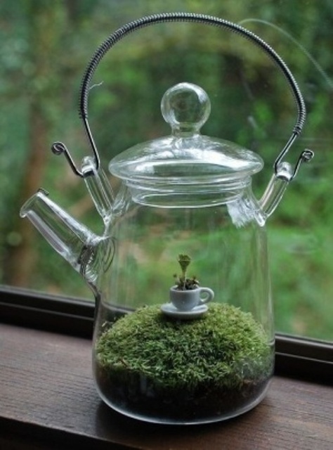 a pretty tiny glass kettle with moss inside and a tiny teacup with greenery is a gorgeous and whimsical terrarium idea