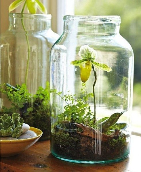 large jars with greenery, driftwood and some blooms are stylish and chic for bringing a spring feel to the space