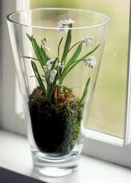 a glass jar with moss and some spring blooms is a simple and stylish idea to bring a spring touch