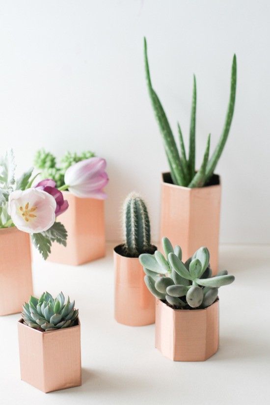 Affectionate Peach Accents In Home Decor