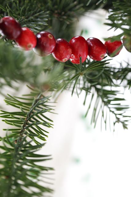 a cranberry garland will add a cute natural touch to the space and will add color to it, too