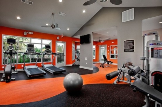 58 Well Equipped Home Gym Design  Ideas  DigsDigs