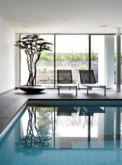 a minimalist pavilion with a glazed wall, a large pool, a couple of loungers and a statement potted plant is amazing to achieve harmony inside