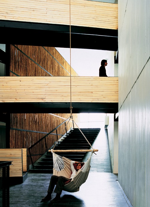 Amazing Outdoor Hammock