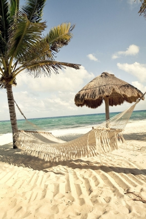 Amazing Outdoor Hammock