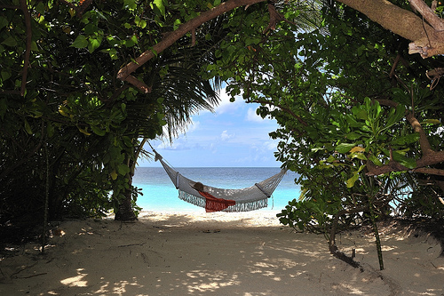 Amazing Outdoor Hammock