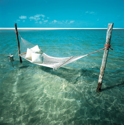Amazing Outdoor Hammock