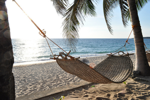 Amazing Outdoor Hammock