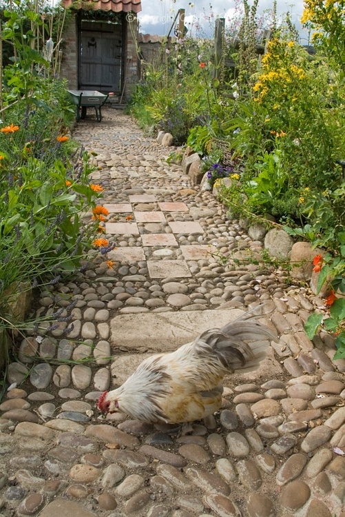 a garden path made of pebbles and tiles mixed up is a relaxed and fresh idea with a rustic feel