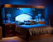 a gorgeous aquarium over the bed guarantees relaxation before you fall asleep and sweet dreams