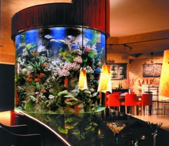 a large round aquarium clad in dark stained wood is a gorgeous and cool decor feature for your space, light it up as much as possible