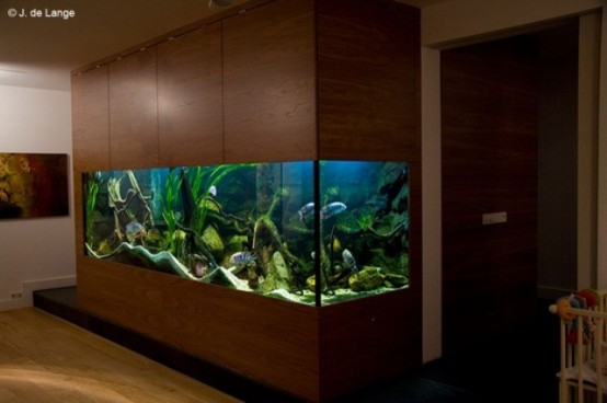 a large aquarium clad with stained wood is a stylish idea for your space, it can be a beautiful and statement decor feature