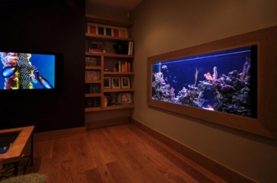 a framed built-in aquarium is a stylish decor feature that will bring relaxation to your space