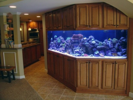 an awkward nook in between the spaces is taken by a large aquarium with lights clad with wooden panels