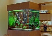 an large aquarium enclosed in plywood is a stylish decor feature and a space divider that rocks