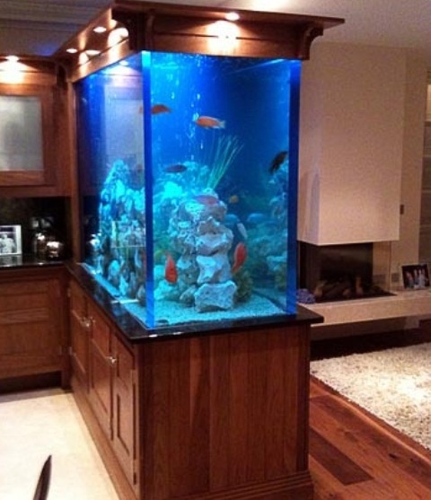 an oversized aquarium as a space divider for a kitchen and a living room is a very bold and cool decor idea