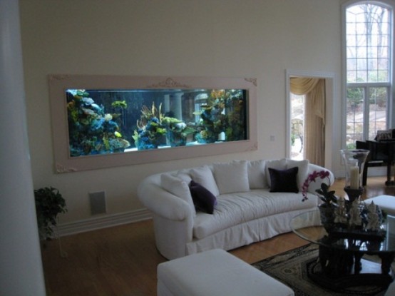 a built-in framed aquarium makes this space bolder, cooler and more relaxed
