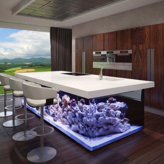 a statement kitchen decor feature - a kitchen island with a built-in aquarium with no fish is a very bold and amazing option