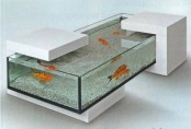 a modern opened aquarium with stone holders is a cool and natural idea that looks simple and cool
