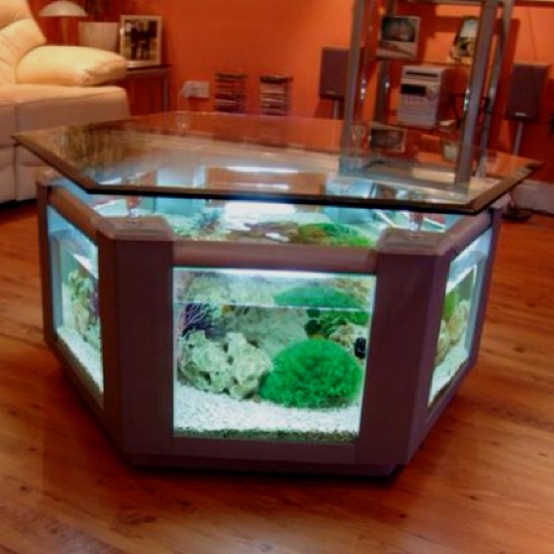 an aquarium coffee table is a very chic and statement idea for your contemporary space