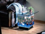 a coffee table aquarium is a statement solution for any interior and will add harmony to it
